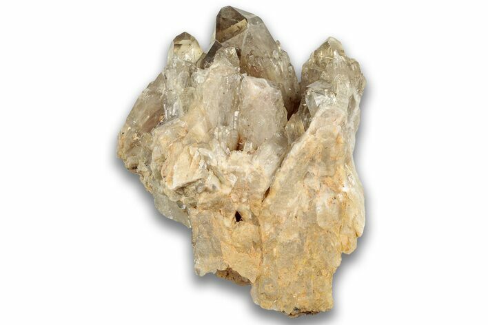 Smoky Citrine Crystal Cluster - Luena, DR Congo #324394